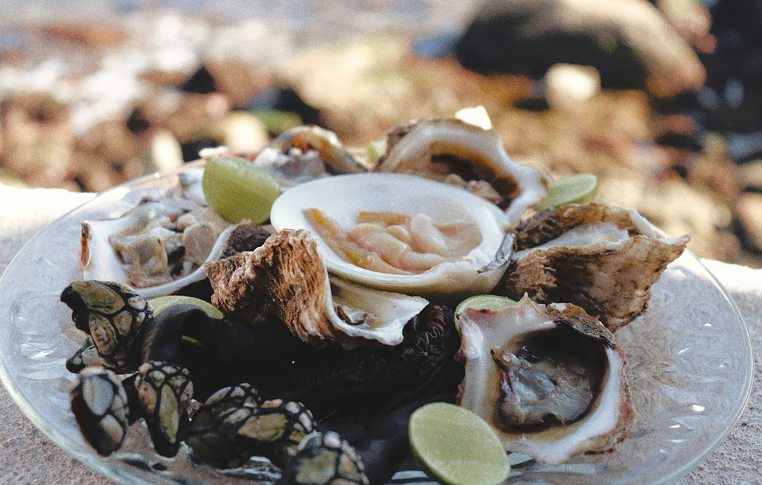 Eventos - O que visitar na costa vicentina