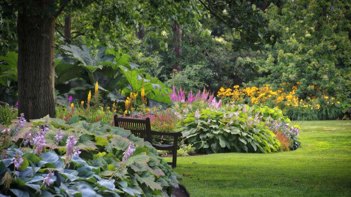 Jardins de Sombra -  Plantas que crescem com pouca luz solar