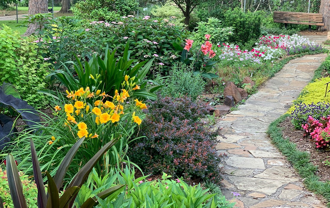 Localização e layout do jardim - Como fazer um jardim em casa?